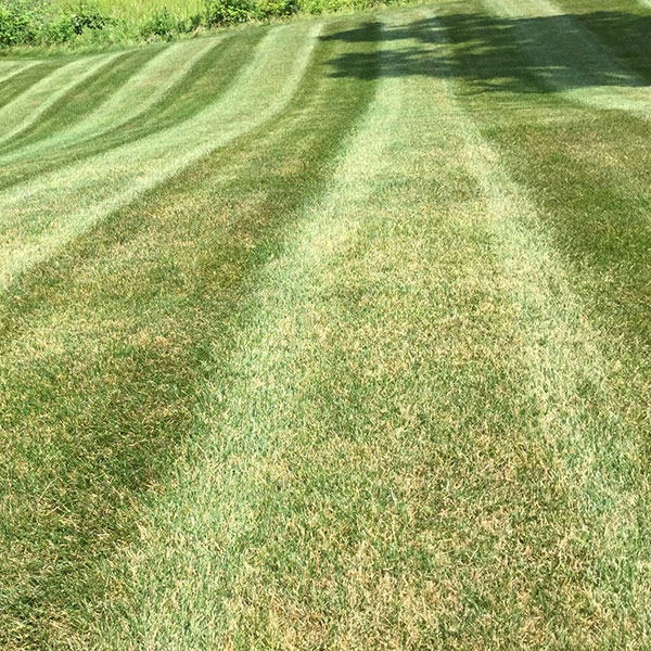 Commercial and Residential Lawn Mowing Service Elk County PA